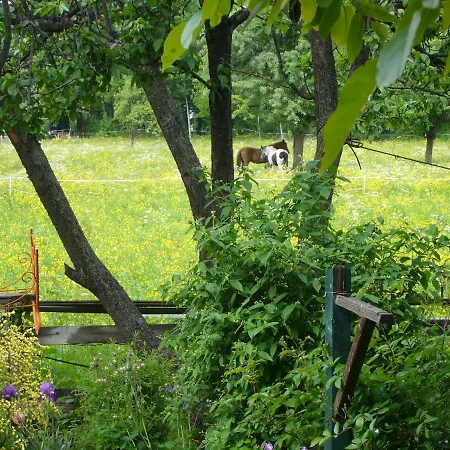 Le Nid De Saint Ours Appartamento