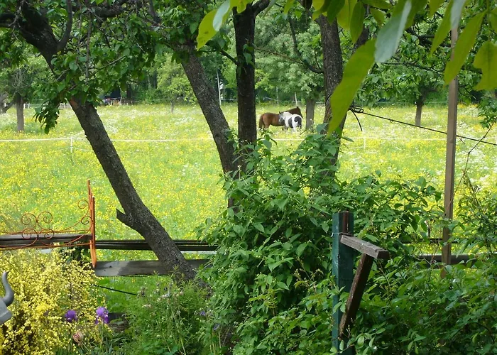 Le Nid De Saint Ours Appartamento